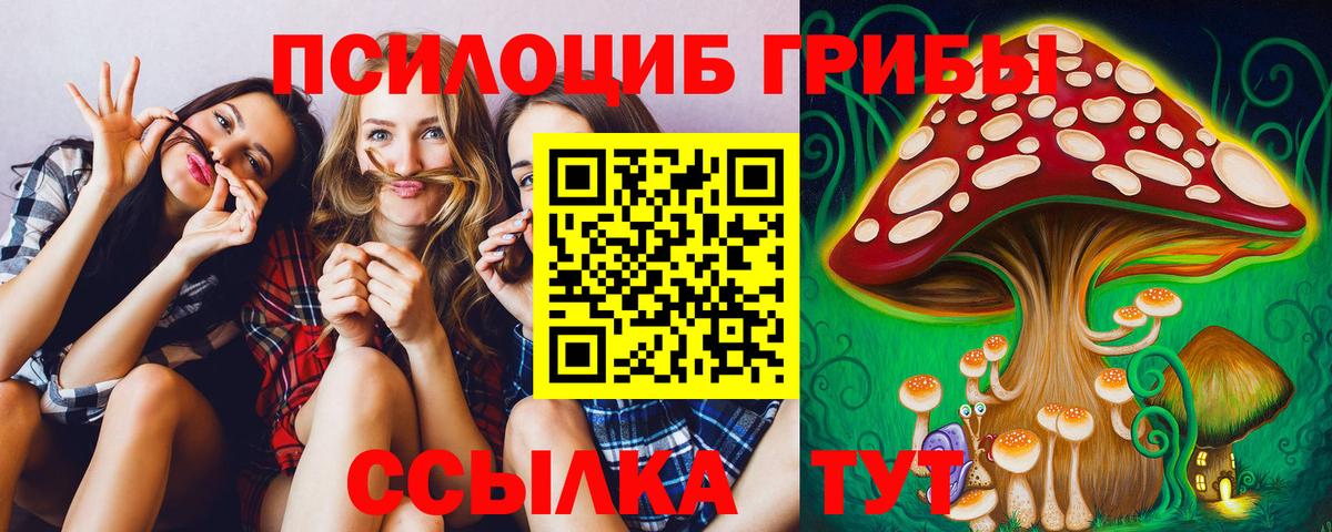 Дивногорск  как найти закладки  Вход с VPN  Галлюциногенные грибы MAGIC MUSHROOMS 
